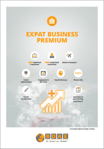 Cover Terms and Conditions Expat Business Premium (PDF)
