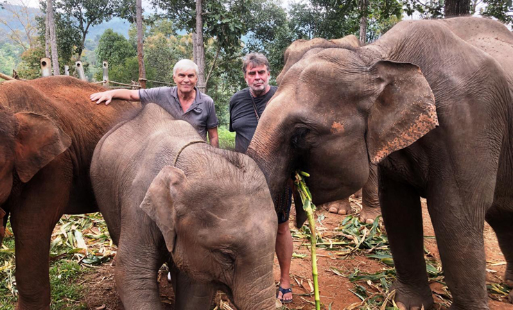 INTERVIEW Mit Elefantenmann Bodo F”rster in seinem Camp nahe Chiang Mai