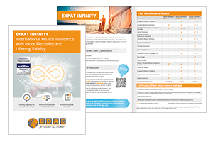 Cover Infosheet Expat Infinity (PDF)