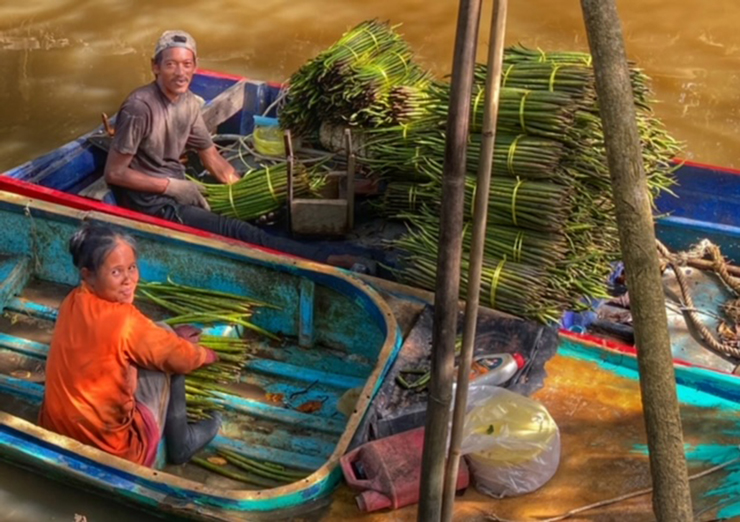 INTERVIEW Mangroven Saetzlinge freiwilliger Klimaschutz Chumphon Thailand